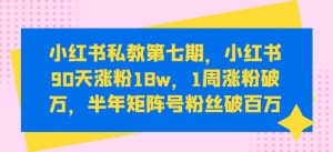 小红书私教第七期,小红书90天涨粉18w,1周涨粉破万,半年矩阵号粉丝破百万-一起网赚吧