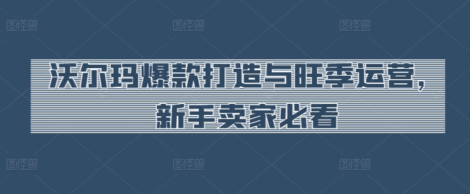沃尔玛爆款打造与旺季运营，新手卖家必看-一起网赚吧