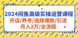 2024闲鱼高级实操运营课程：开店/养号/选择爆款/引流/月入2万/全流程-一起网赚吧