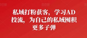 私域打粉获客，学习AD投流，为自己的私域囤积更多子弹-一起网赚吧