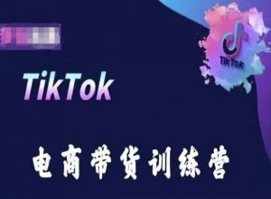 TikTok电商带货训练营，跟随时代潮流，跨境掘金-一起网赚吧