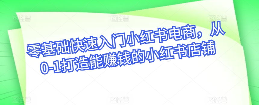 零基础快速入门小红书电商，从0-1打造能赚钱的小红书店铺-一起网赚吧