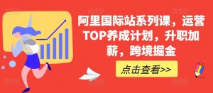 阿里国际站系列课,运营TOP养成计划,升职加薪,跨境掘金-一起网赚吧