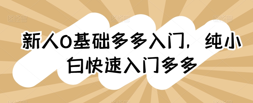 新人0基础多多入门，​纯小白快速入门多多-一起网赚吧