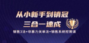 从小新手到销冠 三合一速成：销售3法+非暴力关单法+销售系统挖需课 (27节)-一起网赚吧