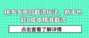 拼多多竞品截流玩法，新手也能0成本精准截流-一起网赚吧