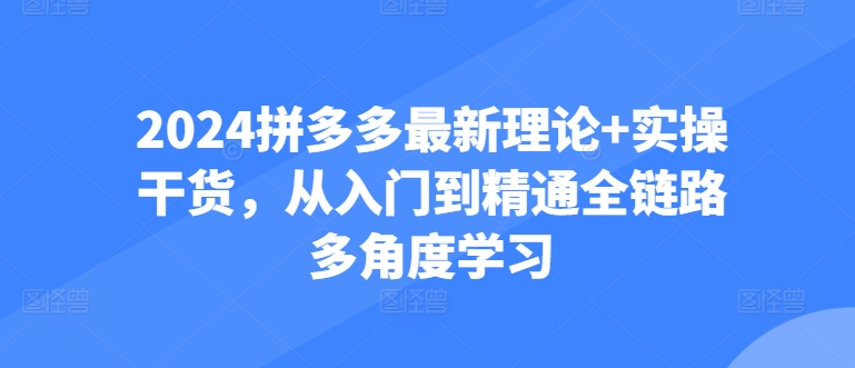 2024拼多多最新理论+实操干货，从入门到精通全链路多角度学习-一起网赚吧
