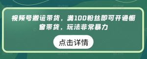 视频号搬运带货，满100粉丝即可开通橱窗带货，玩法非常暴力【揭秘】-一起网赚吧