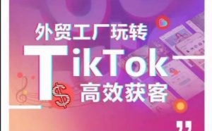 外贸工厂玩转TikTok高效获客,多种引流方式与账号定位技巧,拆解爆款短视频打造成功案例-一起网赚吧