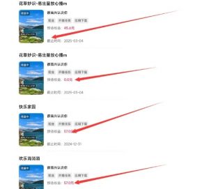 磁力聚星游戏副业陪跑训练营1.0，长期稳定项目，有人一周干了1K+-一起网赚吧