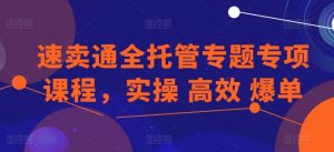 速卖通全托管专题专项课程,实操 高效 爆单-一起网赚吧