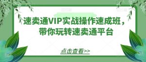 速卖通VIP实战操作速成班，带你玩转速卖通平台-一起网赚吧