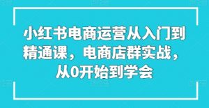 小红书电商运营从入门到精通课，电商店群实战，从0开始到学会-一起网赚吧