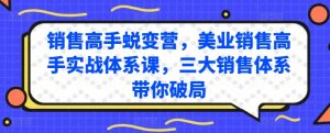 销售高手蜕变营,美业销售高手实战体系课,三大销售体系带你破局-一起网赚吧
