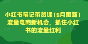小红书笔记带货课【6月更新】流量电商新机会，抓住小红书的流量红利-一起网赚吧