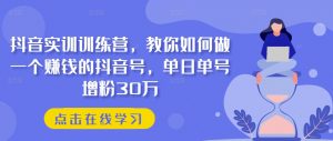 抖音实训训练营,教你如何做一个赚钱的抖音号,单日单号增粉30万-一起网赚吧