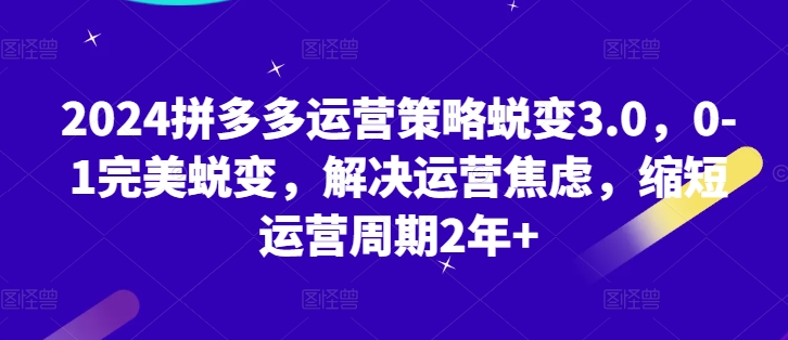 2024拼多多运营策略蜕变3.0，0-1完美蜕变，解决运营焦虑，缩短运营周期2年+-一起网赚吧