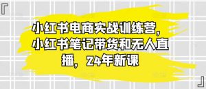 小红书电商实战训练营,小红书笔记带货和无人直播,24年新课-一起网赚吧
