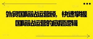 外贸国际站运营顾问，快速掌握国际站运营的底层逻辑-一起网赚吧