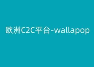 欧洲C2C平台-wallapop-kim跨境电商教程-一起网赚吧