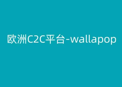 欧洲C2C平台-wallapop-kim跨境电商教程-一起网赚吧