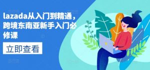 lazada从入门到精通，跨境东南亚新手入门必修课-一起网赚吧