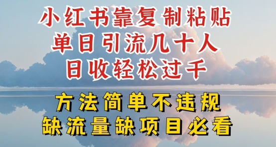 小红书靠复制粘贴单日引流几十人目收轻松过千，方法简单不违规【揭秘】-一起网赚吧