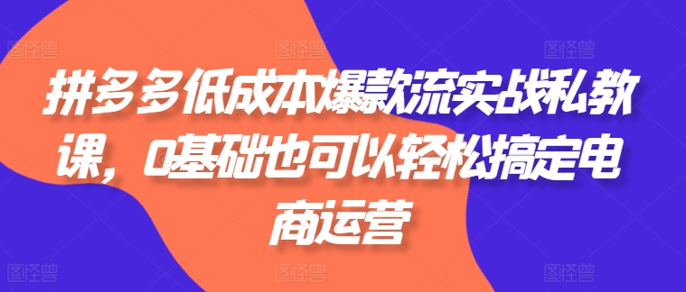 拼多多低成本爆款流实战私教课，0基础也可以轻松搞定电商运营-一起网赚吧