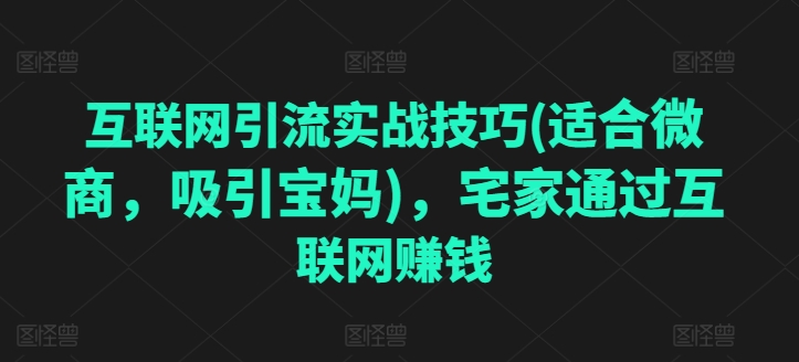 互联网引流实战技巧(适合微商，吸引宝妈)，宅家通过互联网赚钱-一起网赚吧