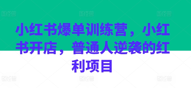 小红书爆单训练营，小红书开店，普通人逆袭的红利项目-一起网赚吧