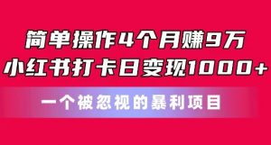 简单操作4个月赚9w，小红书打卡日变现1k，一个被忽视的暴力项目【揭秘】-一起网赚吧
