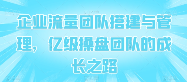 企业流量团队搭建与管理，亿级操盘团队的成长之路-一起网赚吧