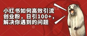 小红书如何高效引流创业粉，日引100+，解决你遇到的问题【揭秘】-一起网赚吧