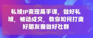 私域IP变现高手课，做好私域，被动成交，教你如何打造好朋友圈做好社群-一起网赚吧
