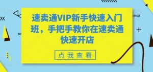 速卖通VIP新手快速入门班，手把手教你在速卖通快速开店-一起网赚吧