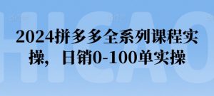 2024拼多多全系列课程实操，日销0-100单实操【必看】-一起网赚吧