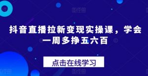 抖音直播拉新变现实操课,学会一周多挣五六百-一起网赚吧