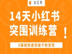14天小红书突围训练营 ，0基础快速突破千粉变现-一起网赚吧