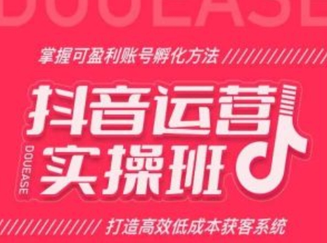 抖音运营实操班，掌握可盈利账号孵化方法，打造高效低成本获客系统-一起网赚吧
