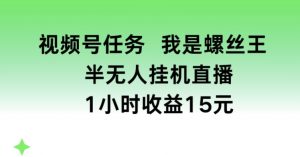 视频号任务，我是螺丝王， 半无人挂机1小时收益15元【揭秘】-一起网赚吧