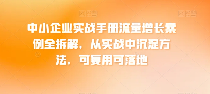 中小企业实战手册流量增长案例全拆解，从实战中沉淀方法，可复用可落地-一起网赚吧