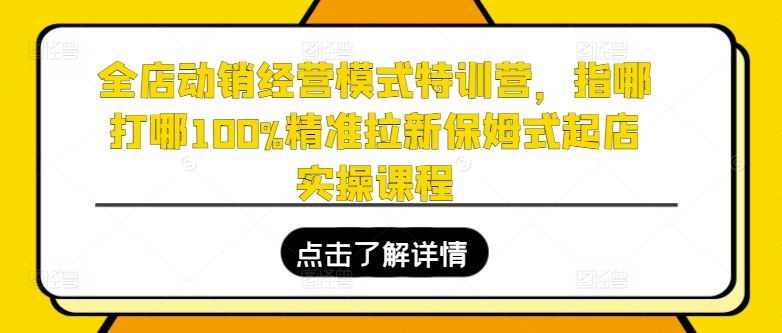 全店动销经营模式特训营，指哪打哪100%精准拉新保姆式起店实操课程-一起网赚吧