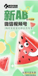 梅花实验室2024年AB技术视频号AB合成破解版-一起网赚吧