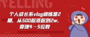 个人成长系vlog训练营2期，从500粉涨粉到2w，变现4～5位数-一起网赚吧