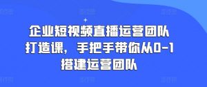企业短视频直播运营团队打造课，手把手带你从0-1搭建运营团队-一起网赚吧