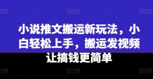 小说推文搬运新玩法，小白轻松上手，搬运发视频让搞钱更简单-一起网赚吧