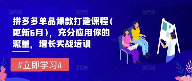 拼多多单品爆款打造课程(更新6月)，充分应用你的流量，增长实战培训-一起网赚吧