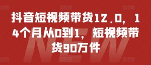 抖音短视频带货12.0，14个月从0到1，短视频带货90万件-一起网赚吧