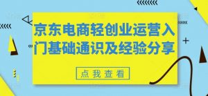 京东电商轻创业运营入门基础通识及经验分享-一起网赚吧