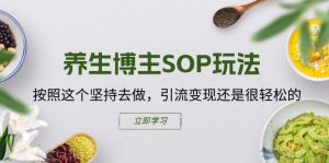 养生博主SOP玩法，按照这个坚持去做，引流变现还是很轻松的-一起网赚吧